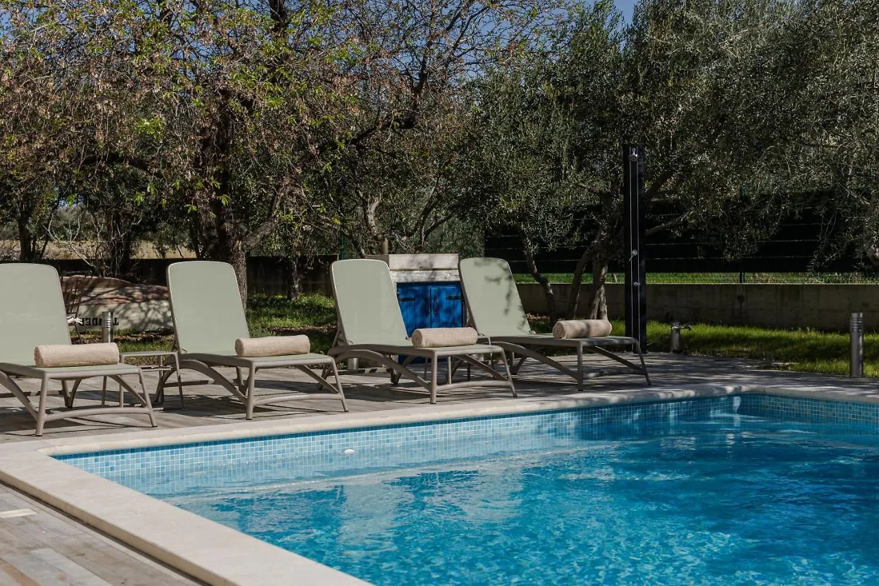 The Olive Poolhouse Apartment Split